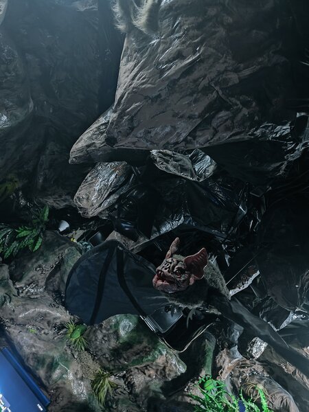 Bat cave image 5